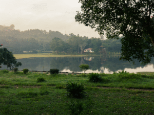 How a Lake-Facing Stay Enhances Your Yercaud Experience
